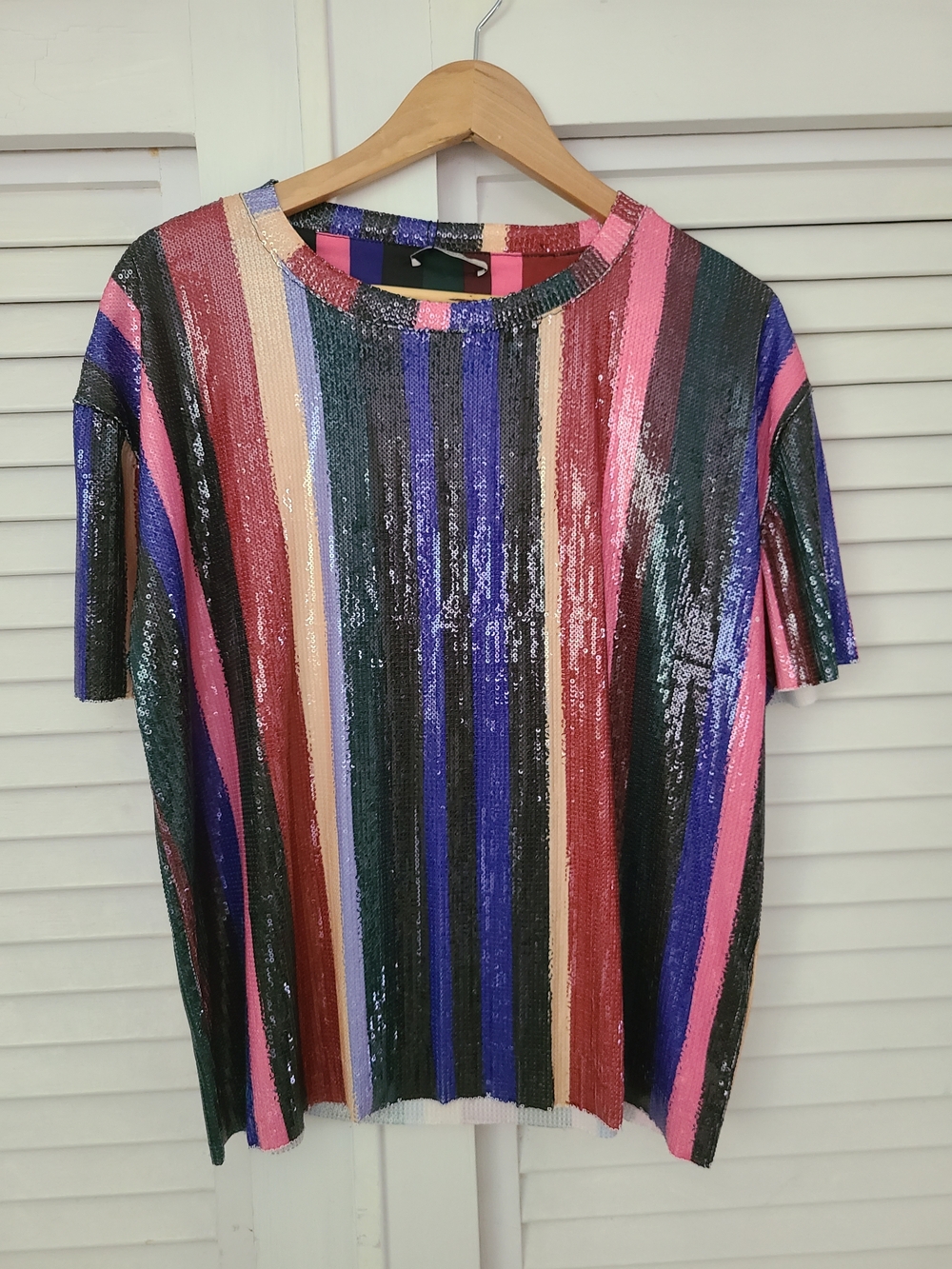 Zara Trafaluc Sequined Stripe Top in Blue, Pink & Black